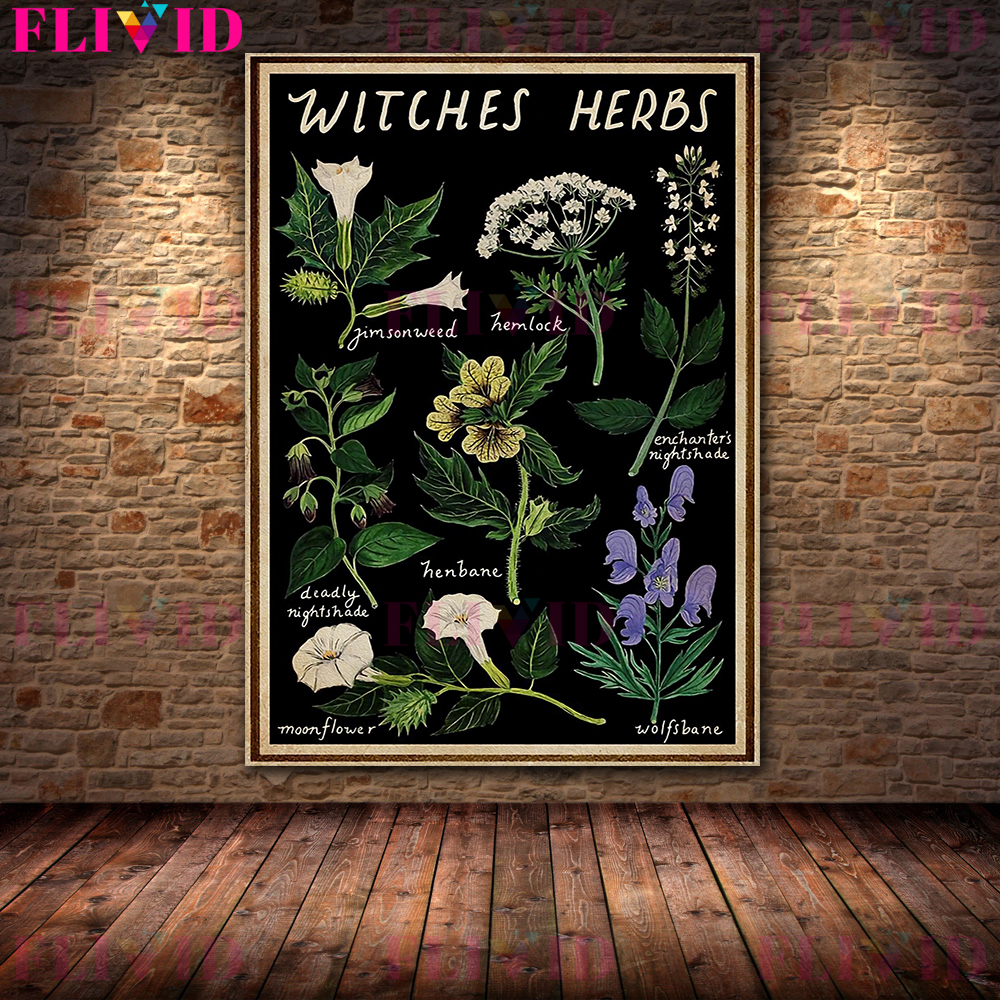 Kitchen Witchery And Baking Sk - Kitchen Witch Baking recensie en prijs